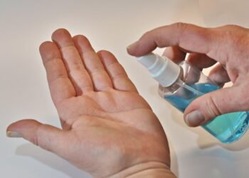 difference between viruses and bacteria