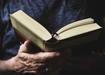 how the human brain processes information