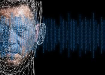 how the human brain processes information