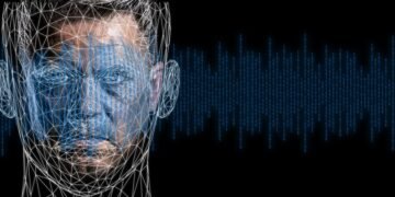 how the human brain processes information