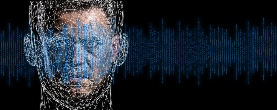 how the human brain processes information