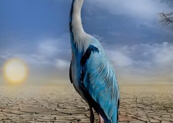 how climate affects clothing choices