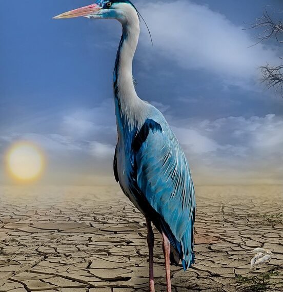 how climate affects clothing choices