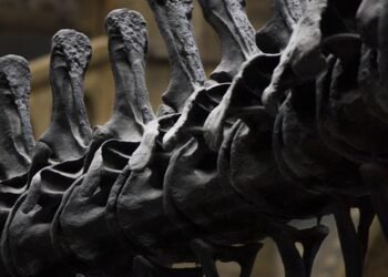 history of cinematic storytelling structures