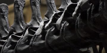 history of cinematic storytelling structures