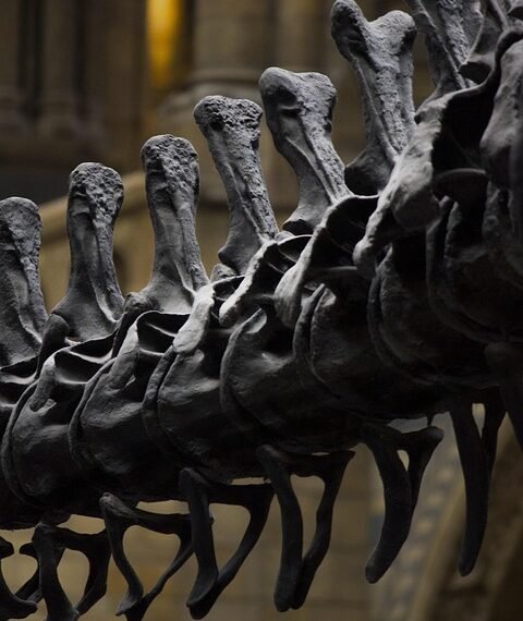 history of cinematic storytelling structures