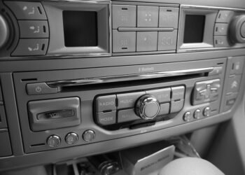 how the cardiovascular system functions