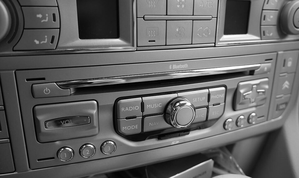 how the cardiovascular system functions