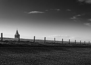 origin of film noir and stylistic elements