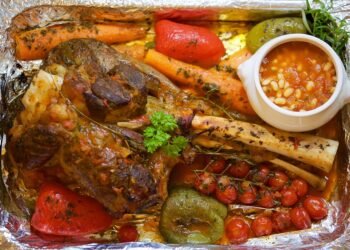 basics of human kidney function