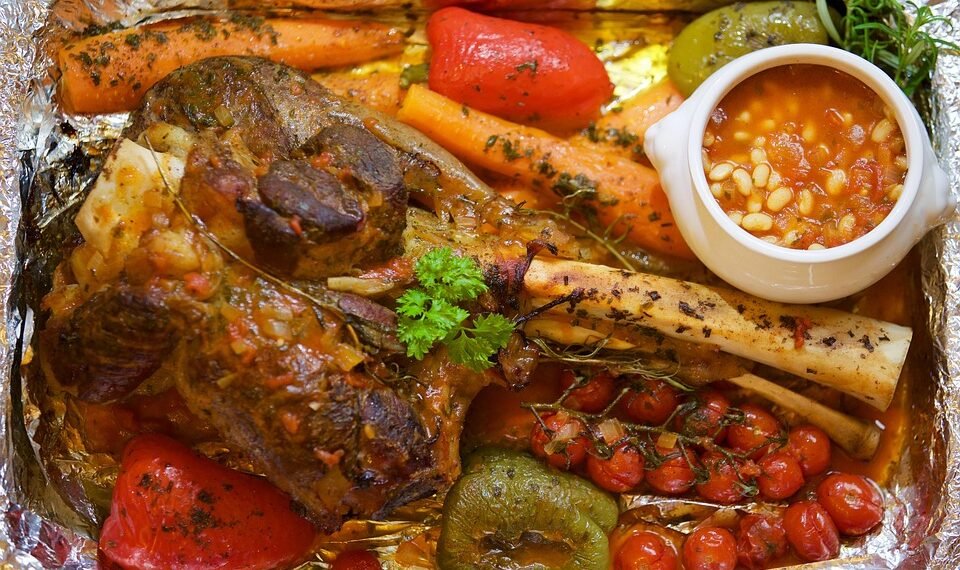 basics of human kidney function