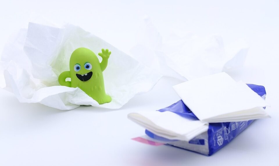 how the immune system protects the body