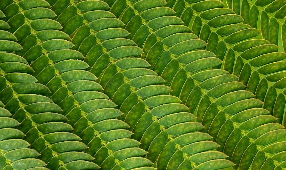 importance of screenplay structure in filmmaking