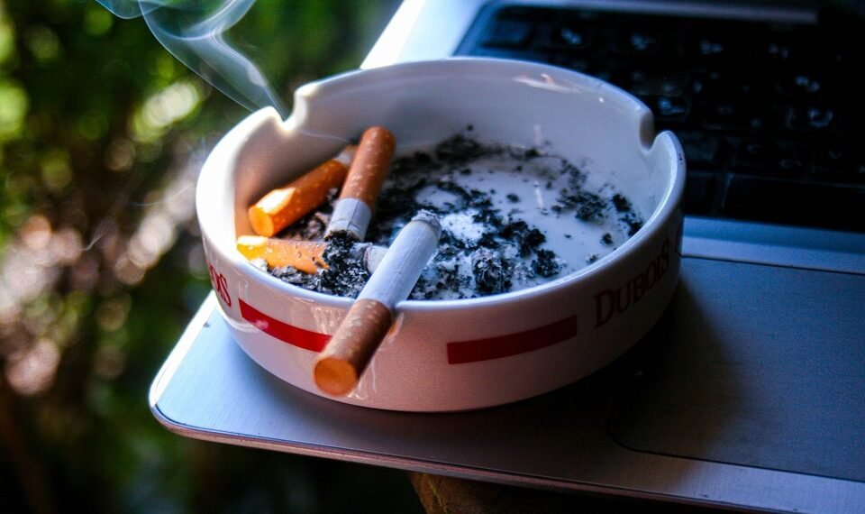 effects of smoking on human health