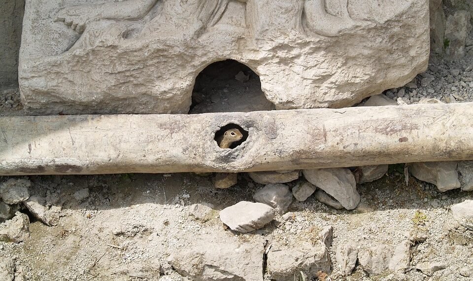 cinematic impact of true story adaptations