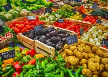 healthy eating habits and nutrition basics