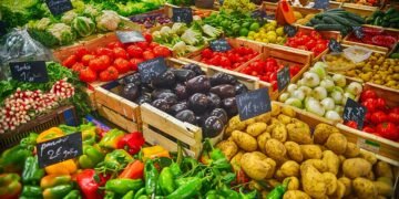 healthy eating habits and nutrition basics