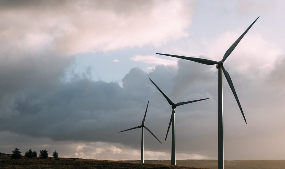 basics of body metabolism and energy use