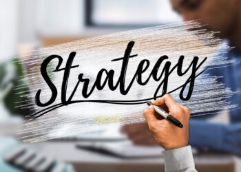 how the cardiovascular system functions