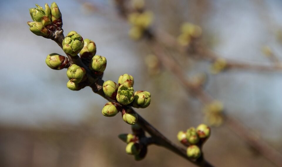 basics of human kidney function