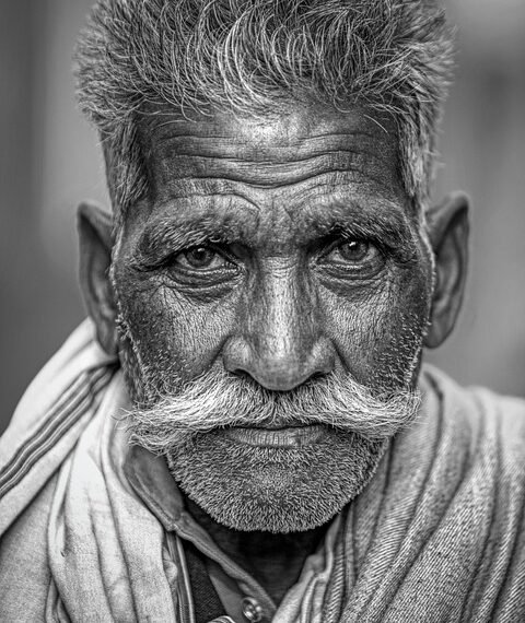 introduction to human digestive system