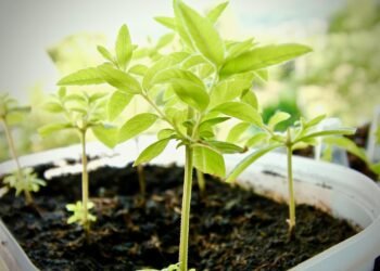 introduction to human digestive system