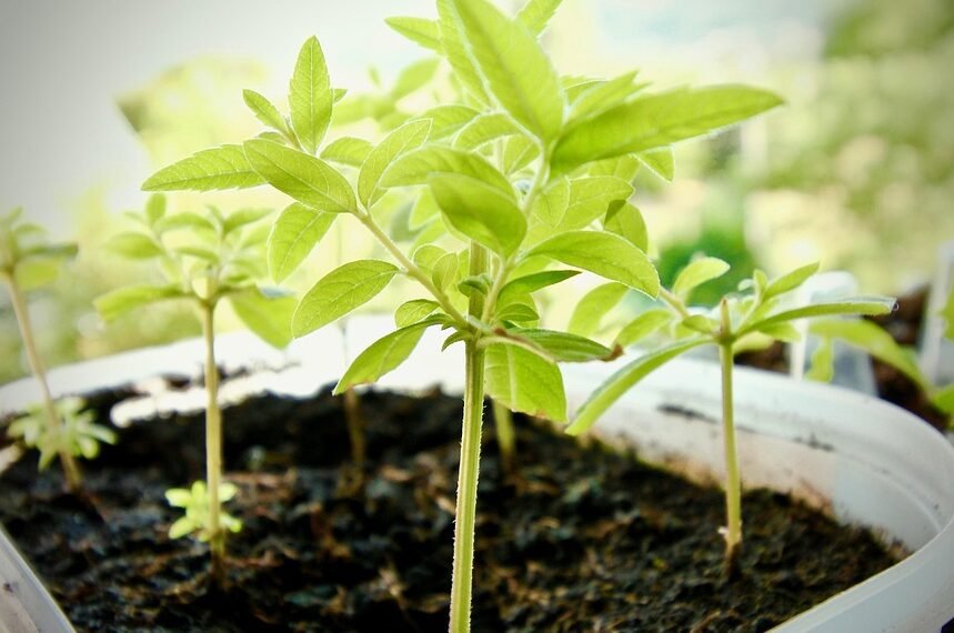 introduction to human digestive system