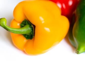 healthy eating habits and nutrition basics