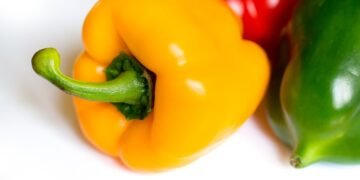 healthy eating habits and nutrition basics