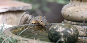 importance of hydration for overall health