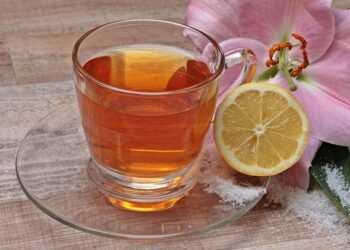 how the immune system protects the body