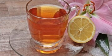 how the immune system protects the body