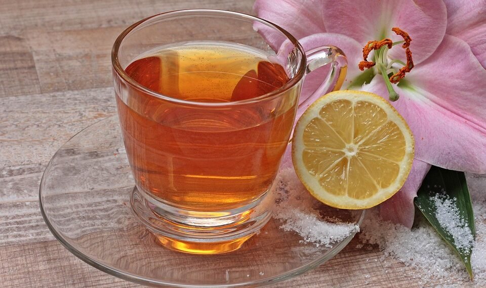 how the immune system protects the body