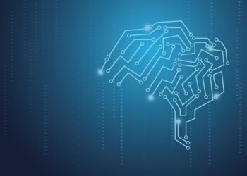 how the human brain processes information