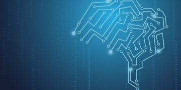 how the human brain processes information