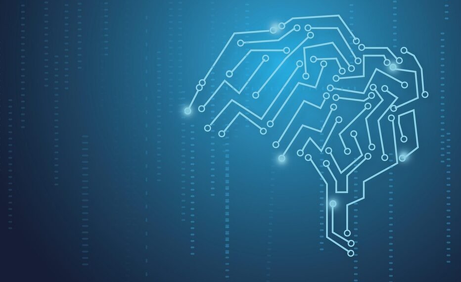 how the human brain processes information