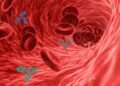 how the immune system protects the body