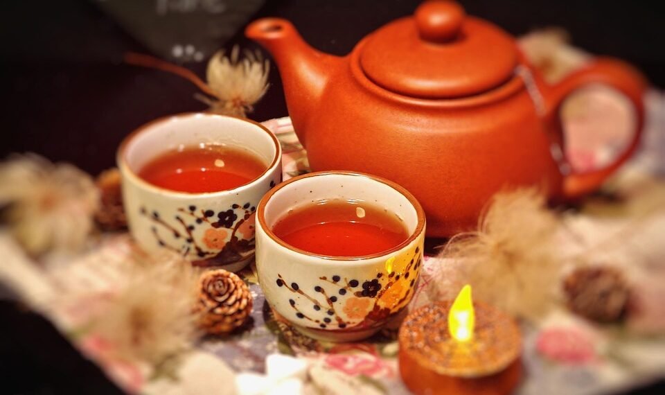 how the immune system protects the body