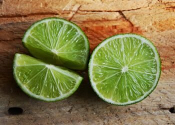 common vitamins and their roles in the body