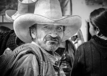 how the human respiratory system works