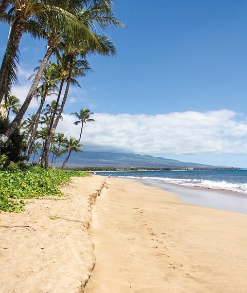 cinematic impact of true story adaptations