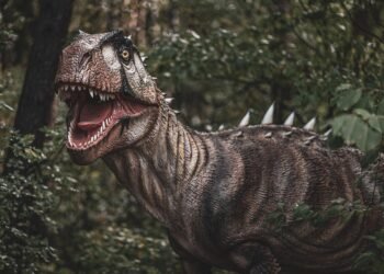 evolution of movie marketing and trailers