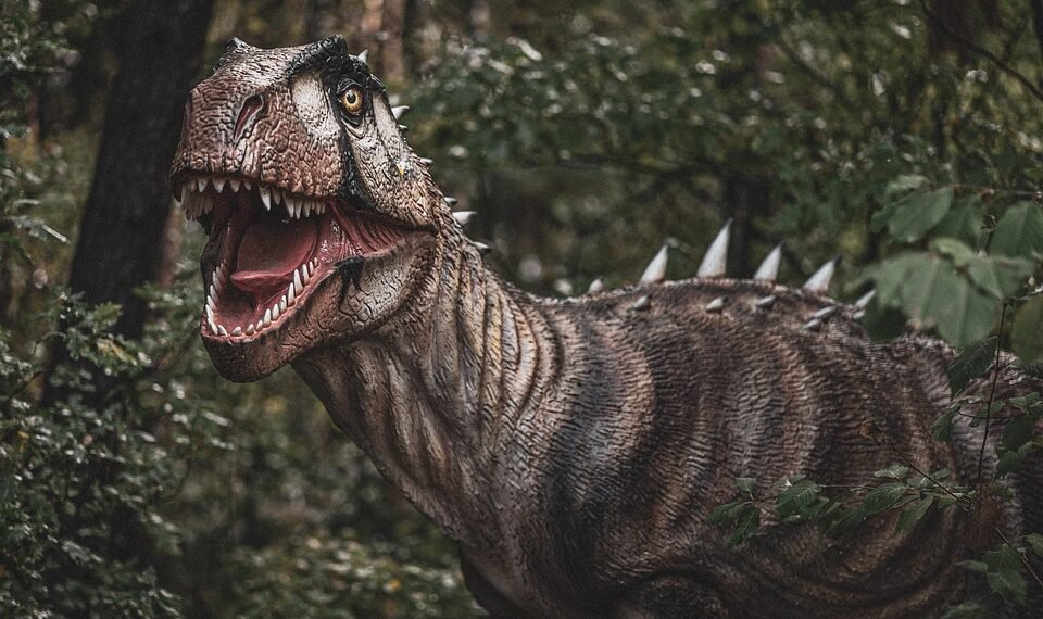 evolution of movie marketing and trailers