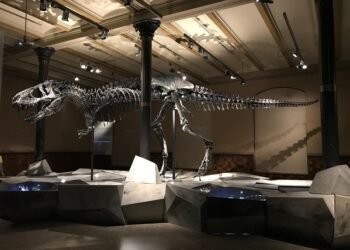 evolution of movie theatres and exhibition