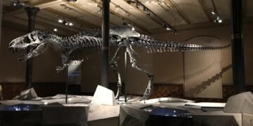 evolution of movie theatres and exhibition