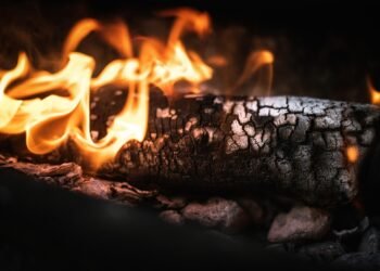 influence of shakespeare on cinema