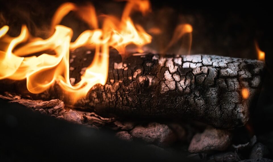 influence of shakespeare on cinema