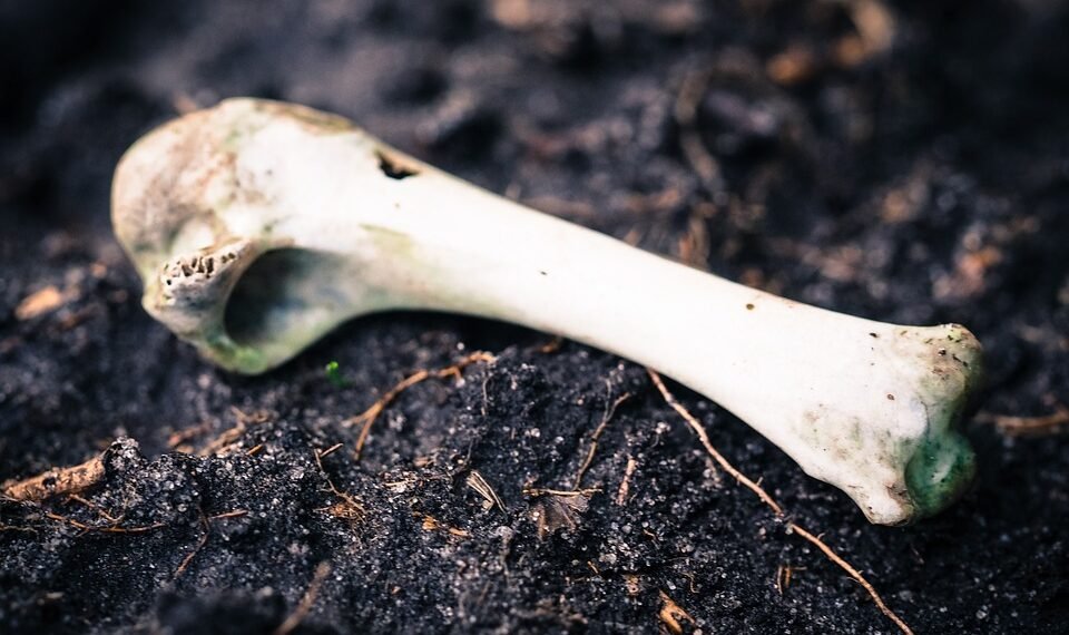 evolution of film criticism and reviewers