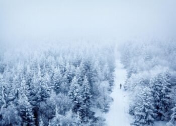 how comedy films changed from silent era to present