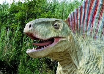 history of british cinema evolution